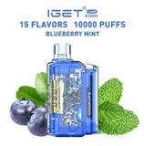 IGET FLARE B10000 Rechargeable Vape INDIA